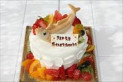 スペシャルケーキ23 スペシャルケーキ23