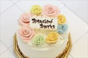 スペシャルケーキ33 スペシャルケーキ33