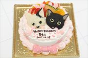 スペシャルケーキ74 スペシャルケーキ74